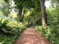 Fort Canning 6